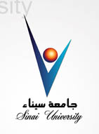 Sinai Logo